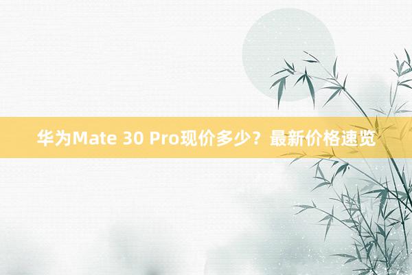 华为Mate 30 Pro现价多少？最新价格速览